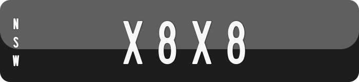 X8X8